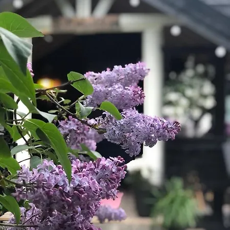 אתר קמפינג Stabbur Steinbekken, Back To Basic Primitive Overnight, No Shower, Shared Toilet