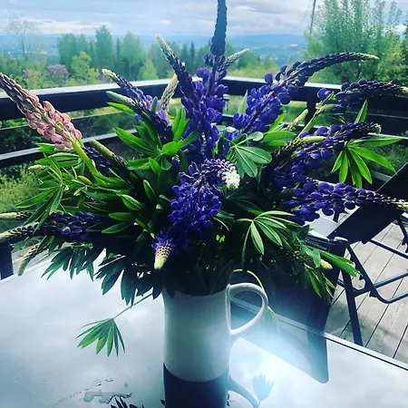 Stabbur Steinbekken, Back To Basic Primitive Overnight, No Shower, Shared Toilet אתר קמפינג