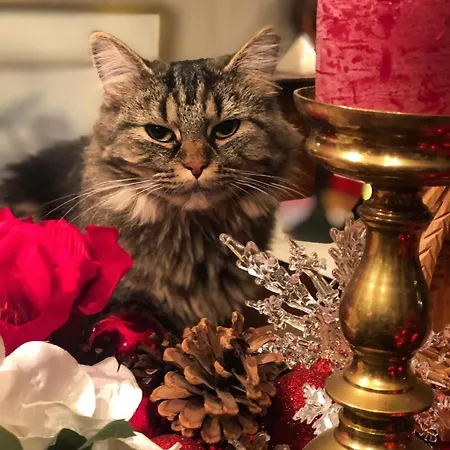 Stabbur Steinbekken, Back To Basic Primitive Overnight, No Shower, Shared Toilet *