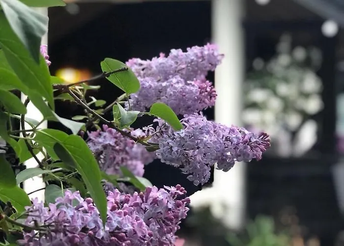 Kemping Stabbur Steinbekken, Back To Basic Primitive Overnight, No Shower, Shared Toilet