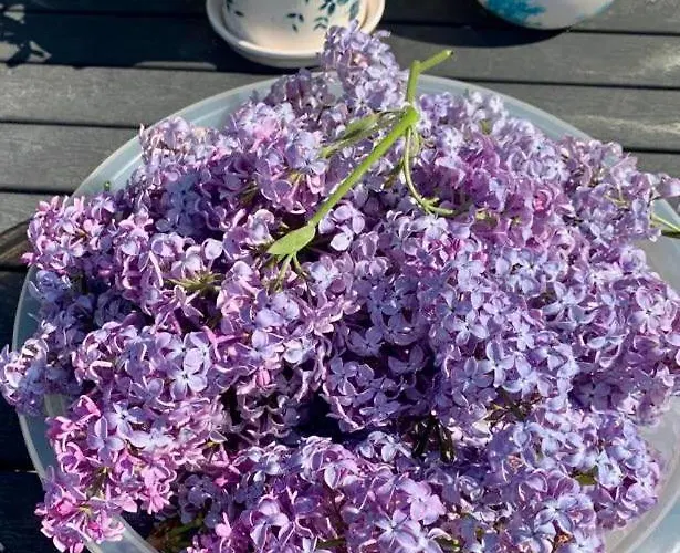 Stabbur Steinbekken, Back To Basic Primitive Overnight, No Shower, Shared Toilet Kemping *