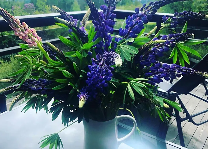 Stabbur Steinbekken, Back To Basic Primitive Overnight, No Shower, Shared Toilet Kemping