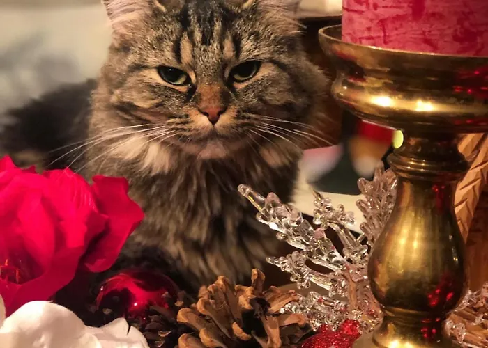 Stabbur Steinbekken, Back To Basic Primitive Overnight, No Shower, Shared Toilet *